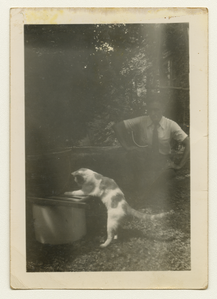 Black and white photo of a cat pawing at an object with a man looking on.