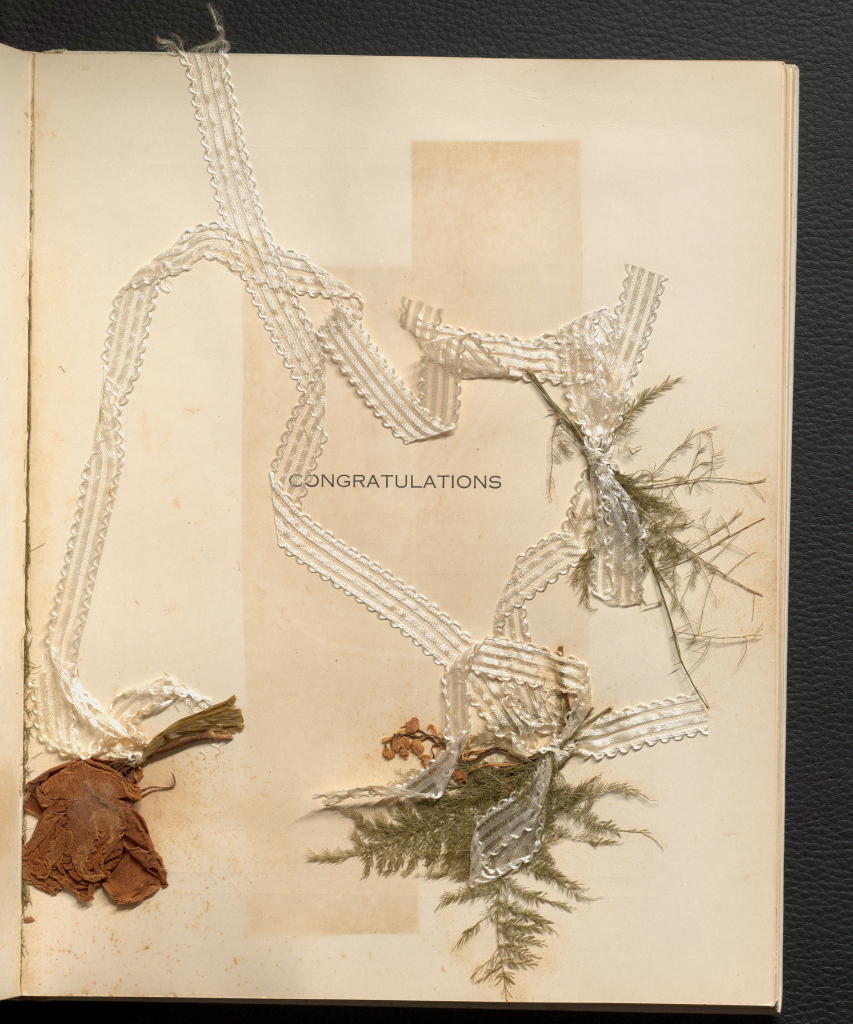 A page labeled "congratulations" in the middle with three strips of lace and three plant or bouquet samples taped to the page.